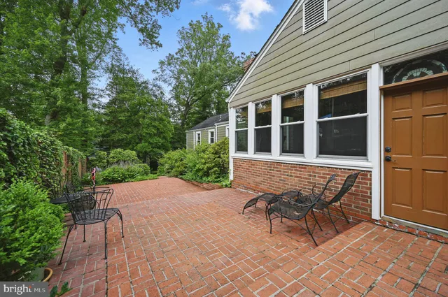 a view of a pathway with flower plants