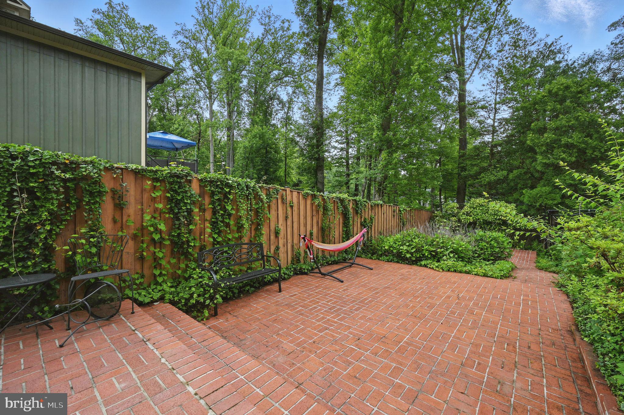 8536 Aponi Road Vienna, VA 22180 - Photo 37 of 40 a view of a backyard with plants and a large tree