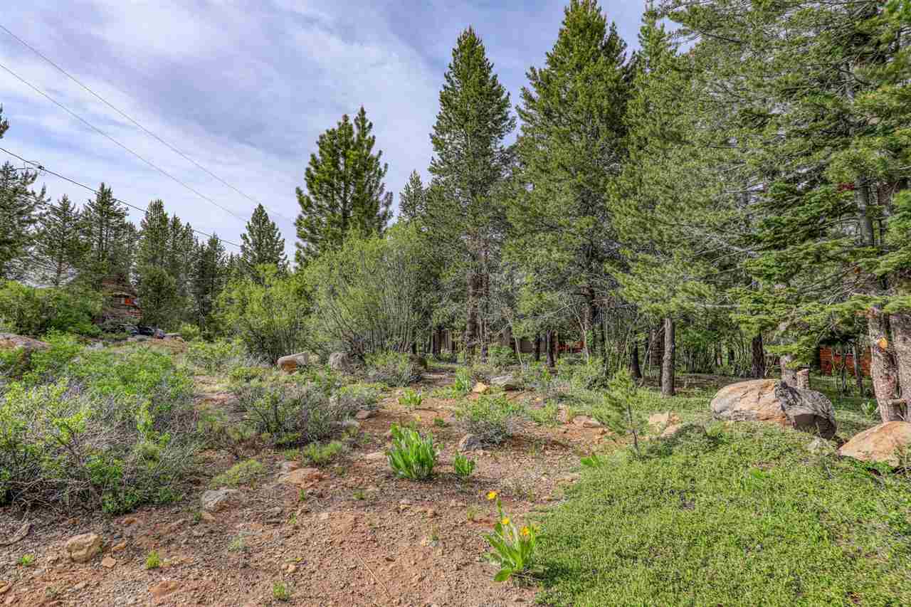 12349 Springbrook Place Truckee, CA 96161 - Photo 6 of 18 Gallery Image 6