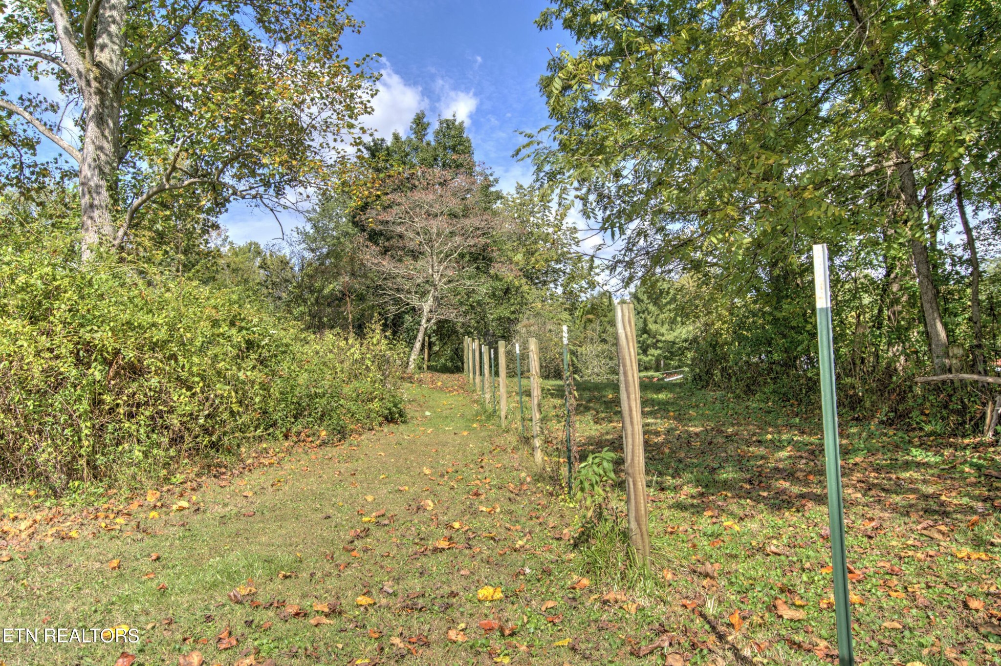 283 Tompkins Road Robbins, TN 37852 - Photo 8 of 30 Gallery Image 8
