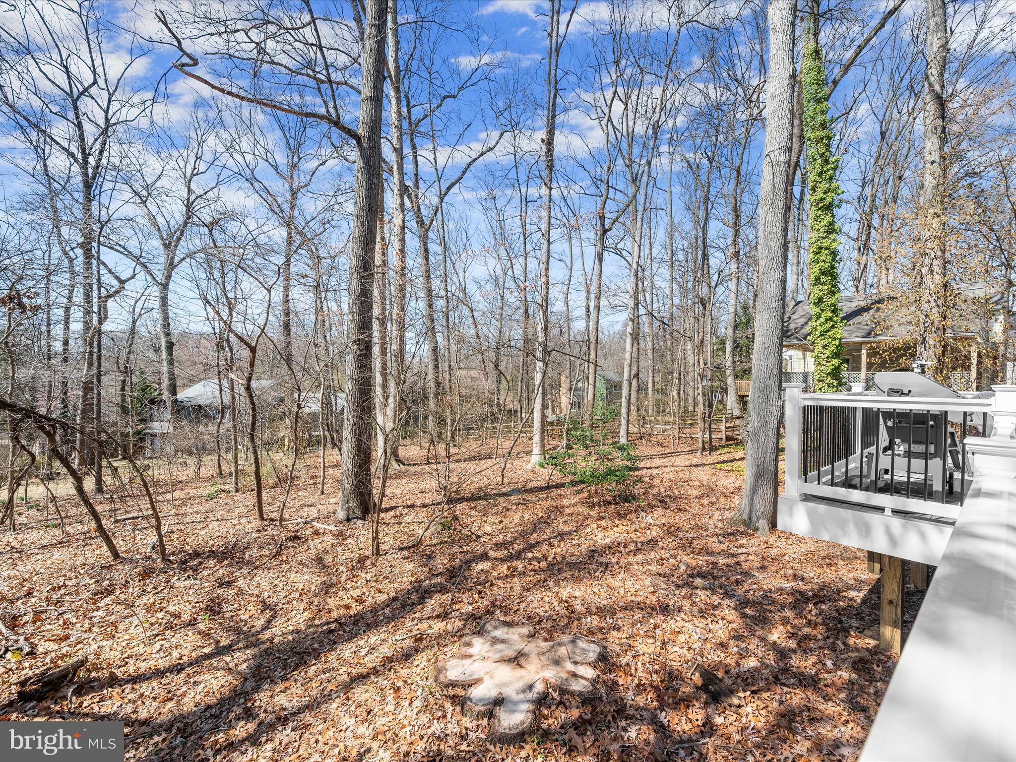 10916 Swansfield Road Columbia, MD 21044 - Photo 48 of 54 Backyard