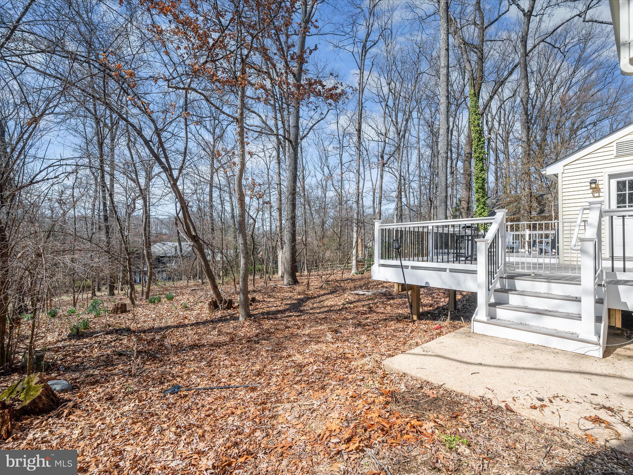 10916 Swansfield Road Columbia, MD 21044 - Photo 49 of 54 Backyard