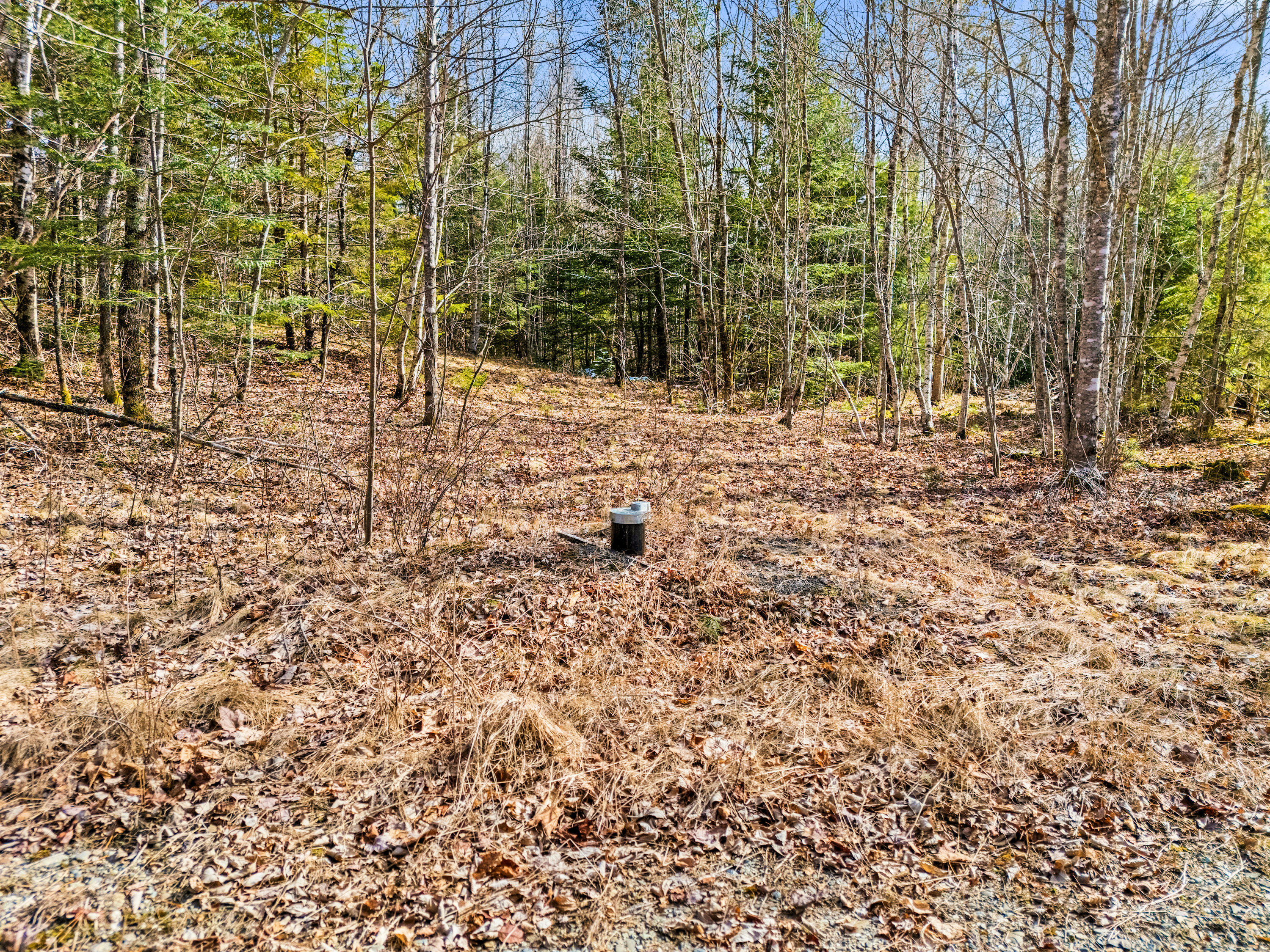 Lot #92 Smith Road Ellsworth, ME 04605 - Photo 7 of 18 Wellhead