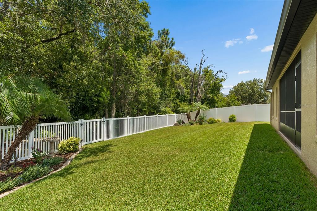 6601 Sparkling Way Wesley Chapel, FL 33545 - Photo 41 of 51