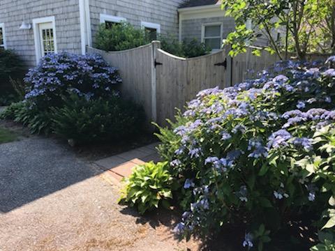 20 Long Road Harwich, MA 02645 - Photo 33 of 40 a flower plants and wooden fence