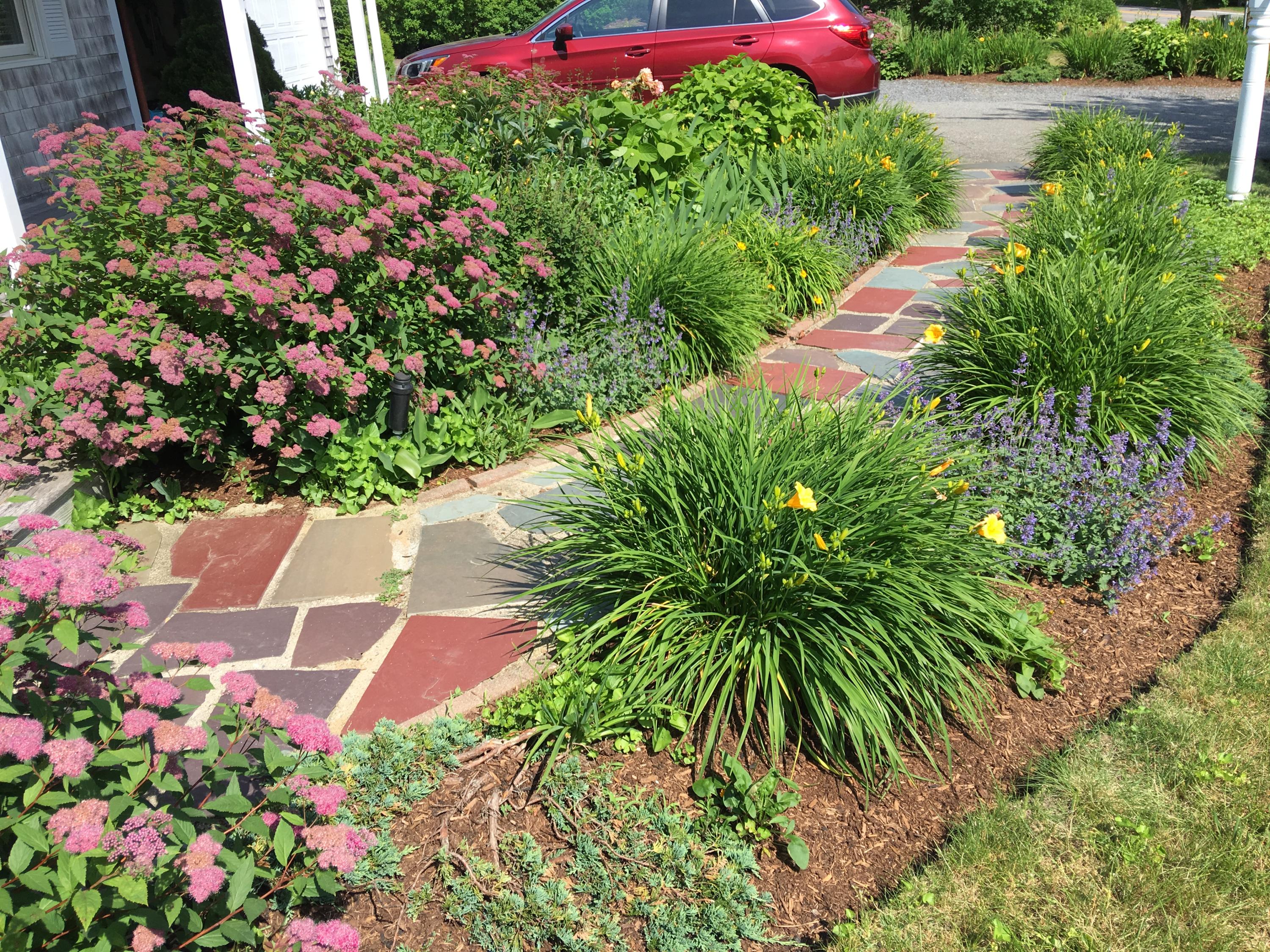 20 Long Road Harwich, MA 02645 - Photo 6 of 40 a view of a flower arrangement in a garden