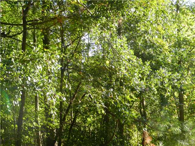 6 Creech Road, Unit 6 Garner, NC 27529 - Photo 2 of 3 a view of a tree