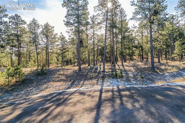 17501 Abert Ridge View Colorado Springs, CO 80908 - Photo 45 of 45 Gallery Image 45