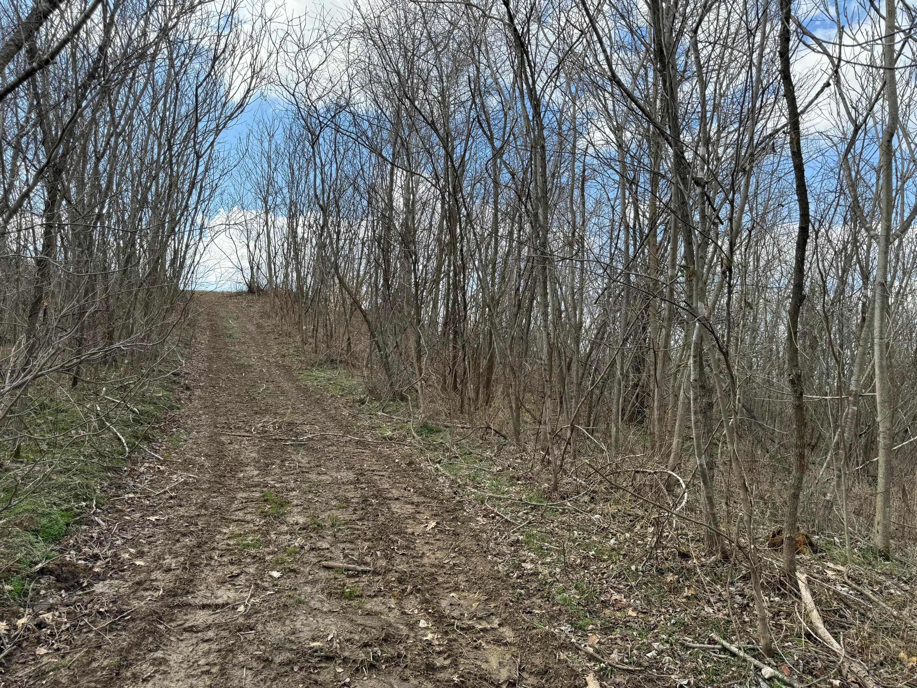 0 Flint Ridge Road Northeast, Unit INT RIDGE TRACT 22 ACRE) Crooksville, OH 43731 - Photo 24 of 48 20240304_190719059_iOS