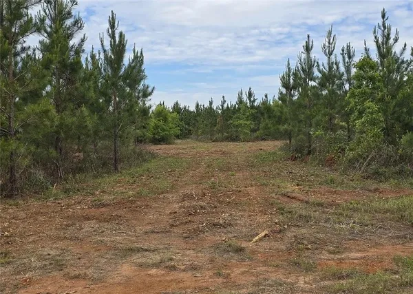$35,000 | 27 Marvin Murphy, Ellaville, GA 31806