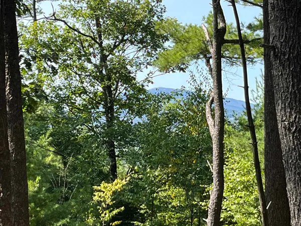 $250,000 | Stoddard Road, Hancock, NH 03449