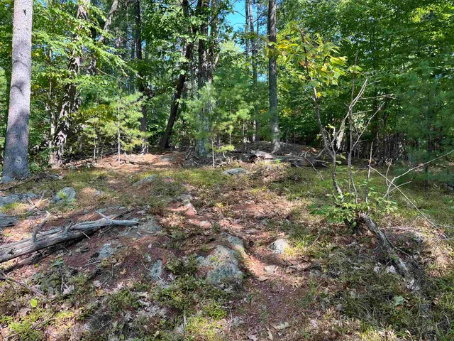 $250,000 | Stoddard Road, Hancock, NH 03449