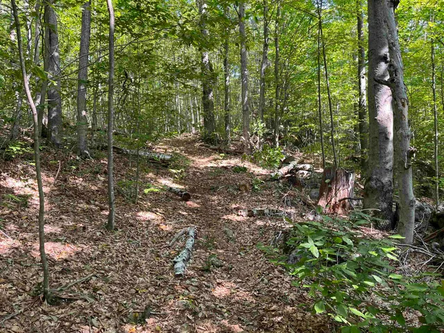 $250,000 | Stoddard Road, Hancock, NH 03449