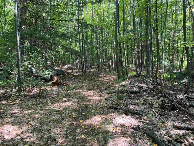 $250,000 | Stoddard Road, Hancock, NH 03449