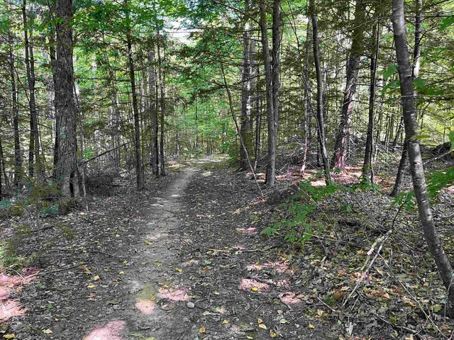 $250,000 | Stoddard Road, Hancock, NH 03449