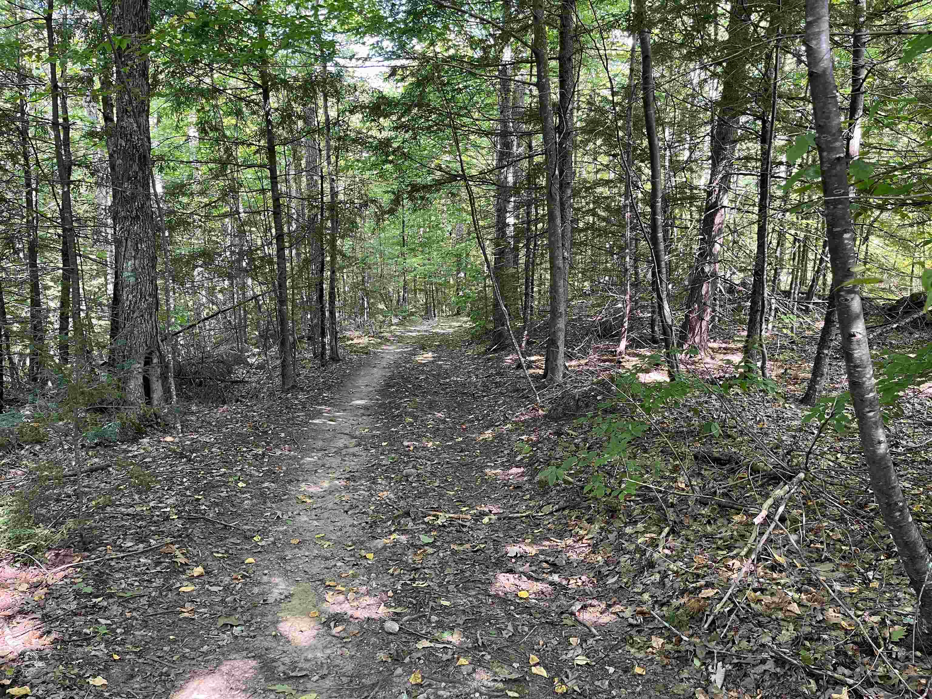 Stoddard Road Hancock, NH 03449 - Photo 8 of 9