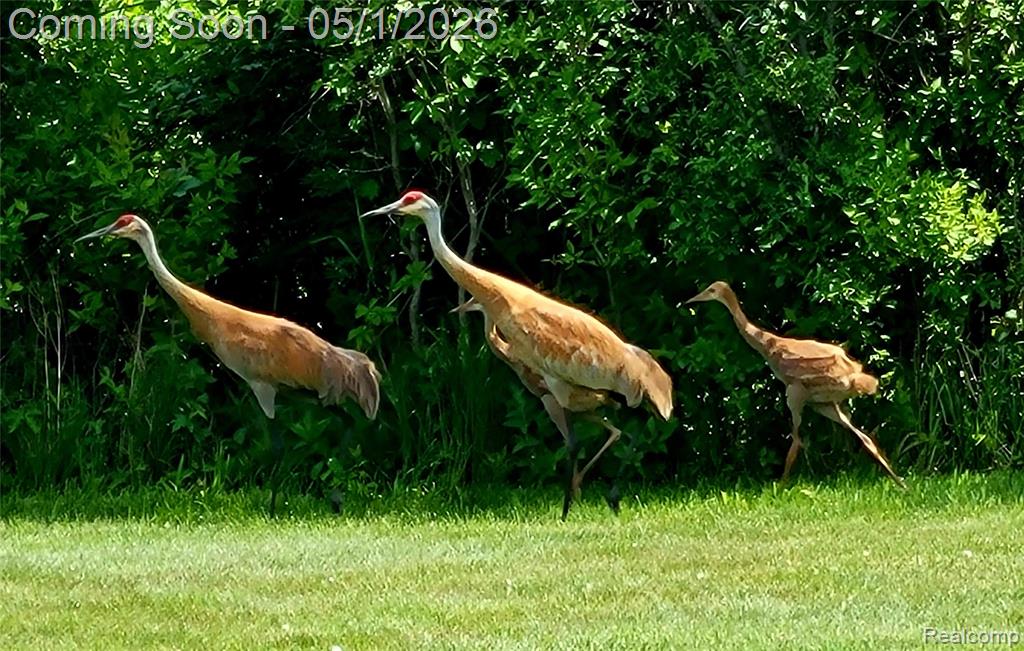 69774-69862 Fisher Road Romeo, MI 48065 - Photo 71 of 75