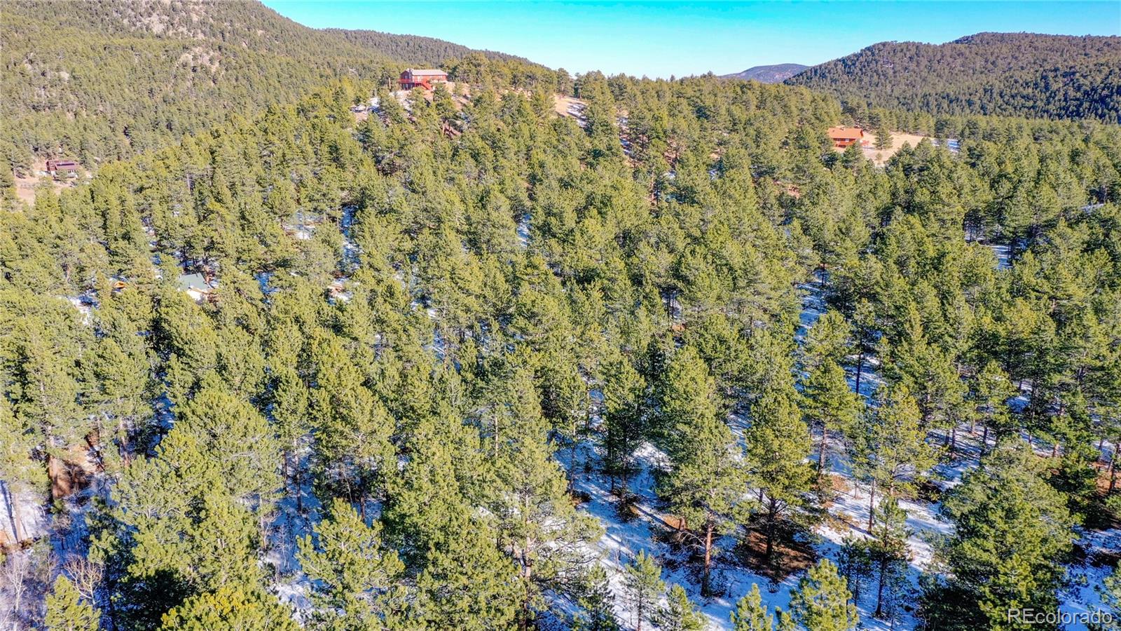 357 Big John Road Lyons, CO 80540 - Photo 11 of 17 a view of a lush green forest with a mountain