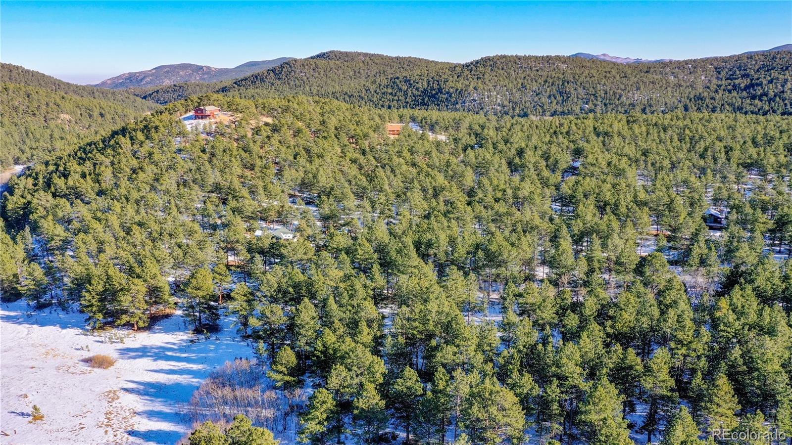 357 Big John Road Lyons, CO 80540 - Photo 13 of 17 a view of a forest with a mountain