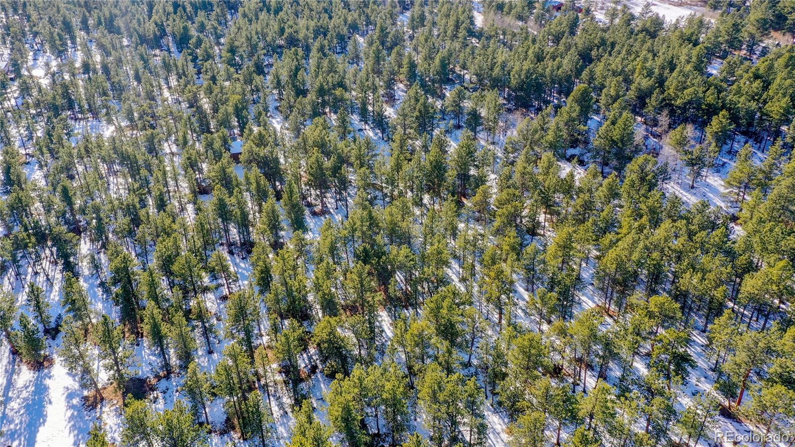 357 Big John Road Lyons, CO 80540 - Photo 7 of 17 a view of a lush green field
