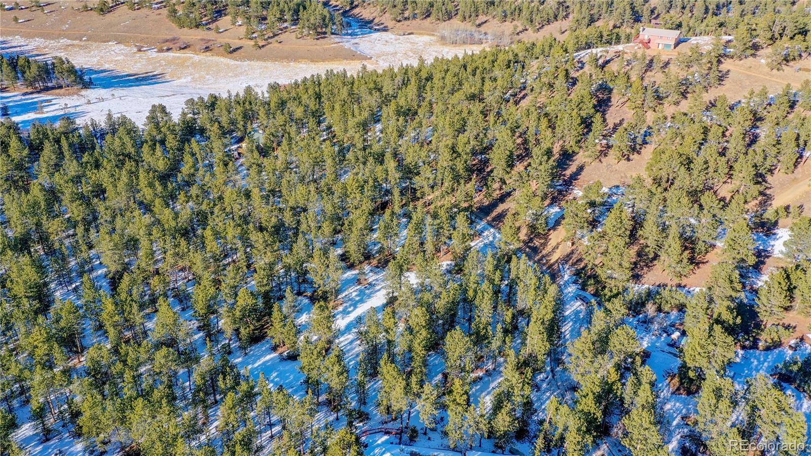 357 Big John Road Lyons, CO 80540 - Photo 9 of 17 a view of a bunch of trees