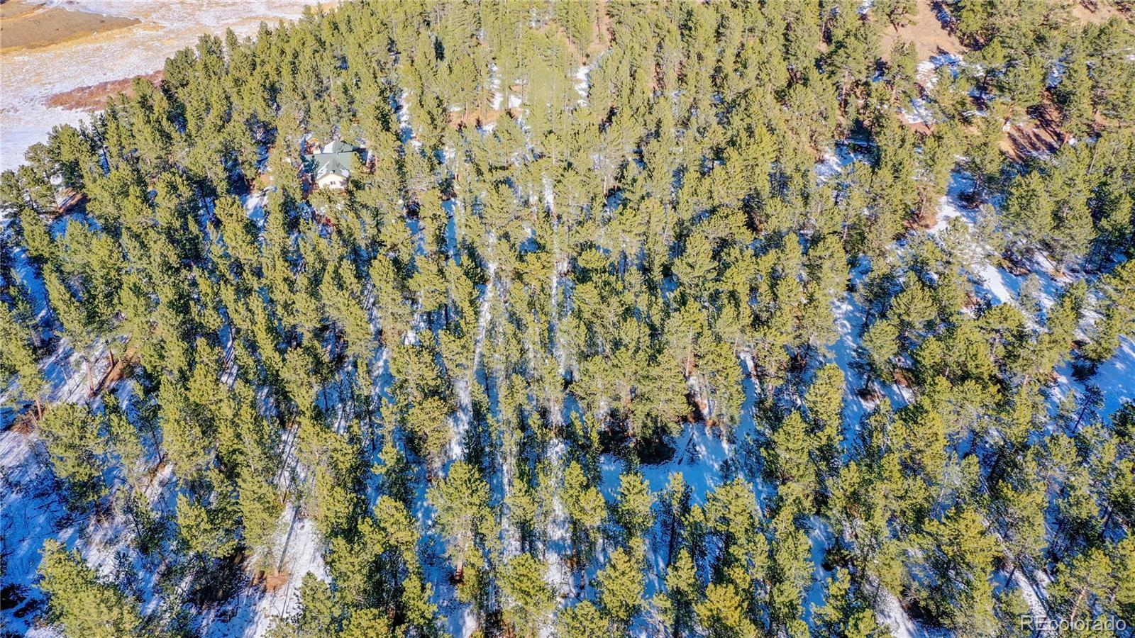 357 Big John Road Lyons, CO 80540 - Photo 10 of 17 a close up of a plant
