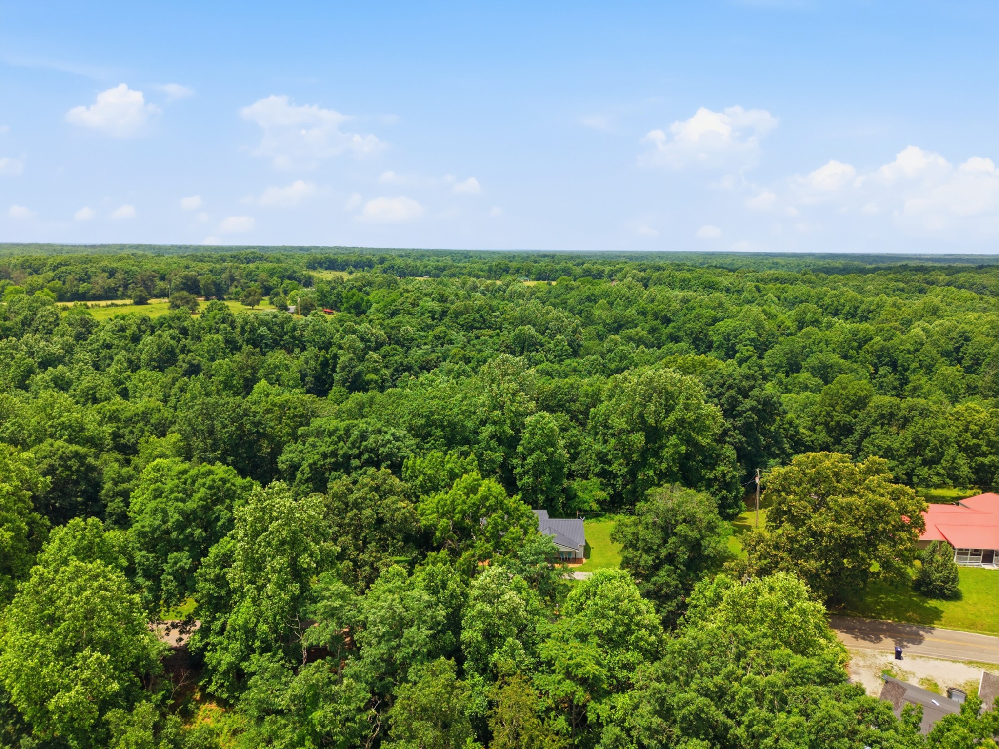 8836 West Sheepneck Road Mount Pleasant, TN 38474 - Photo 35 of 39