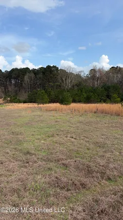 $74,900 | 0 North N Highway, Pelahatchie, MS 39145