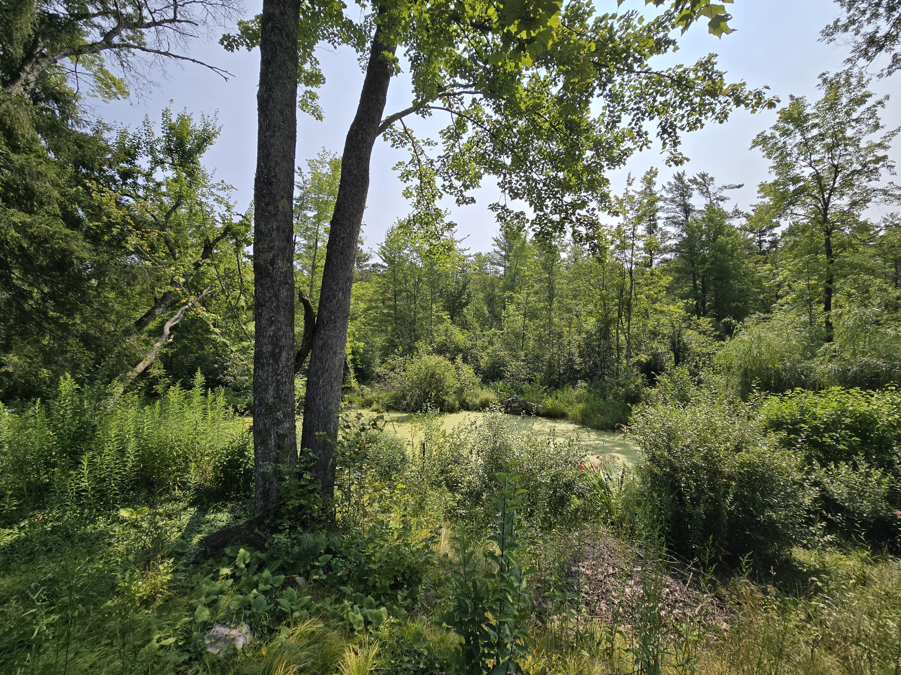 1407 South Baker Road Wellston, MI 49689 - Photo 43 of 56 1407 Baker Rd