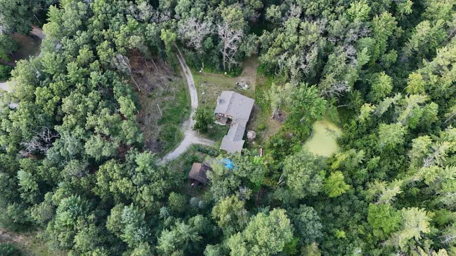 1407 South Baker Road Wellston, MI 49689 - Photo 45 of 56 dji_fly_20240724_180736_0586_17221287532