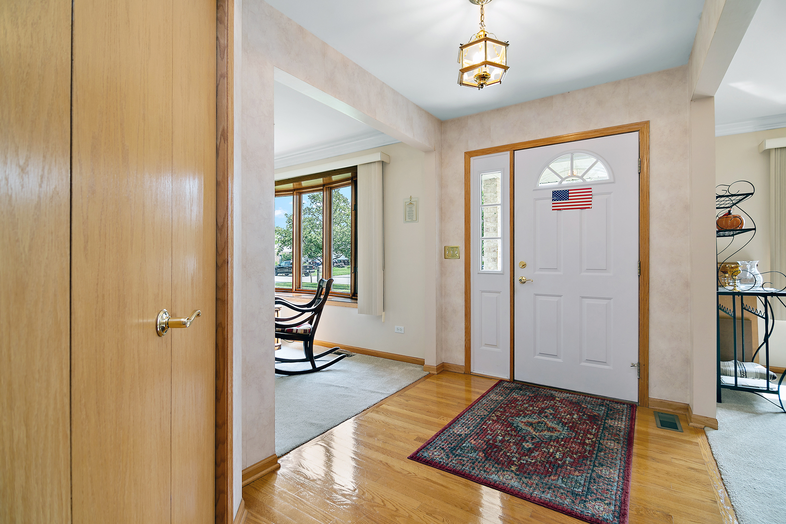 641 Lisson Grove New Lenox, IL 60451 - Photo 4 of 24