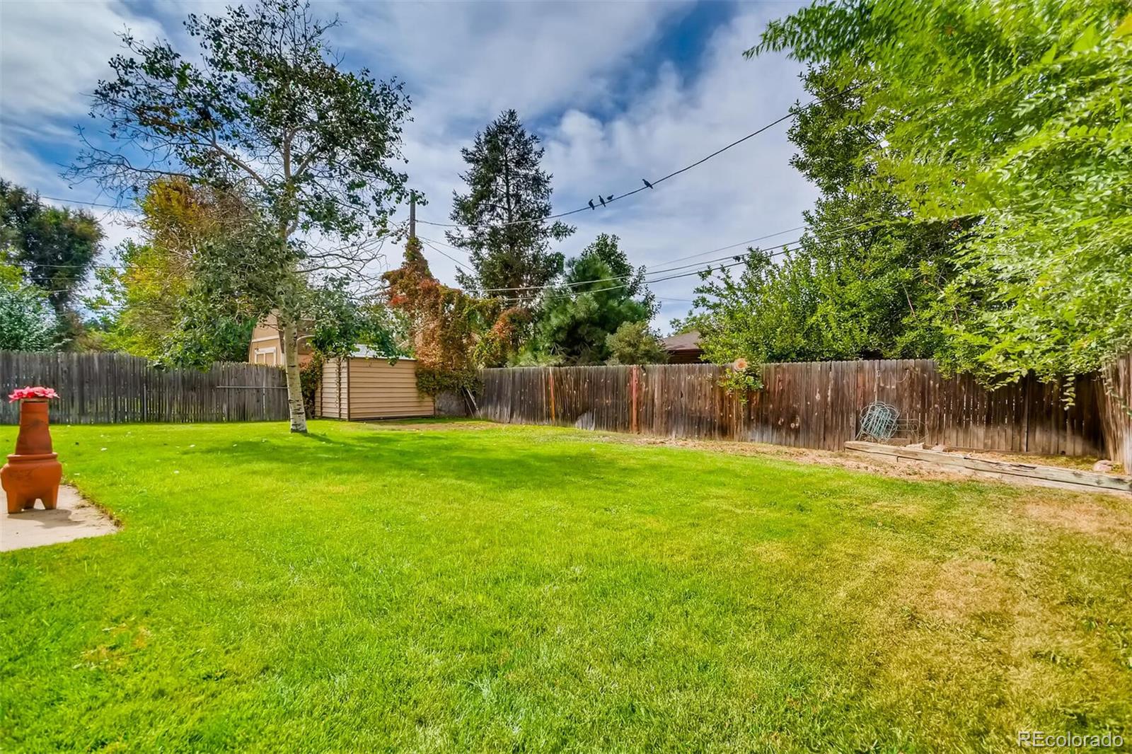 4777 Carr Street Wheat Ridge, CO 80033 - Photo 3 of 5 Gallery Image 3
