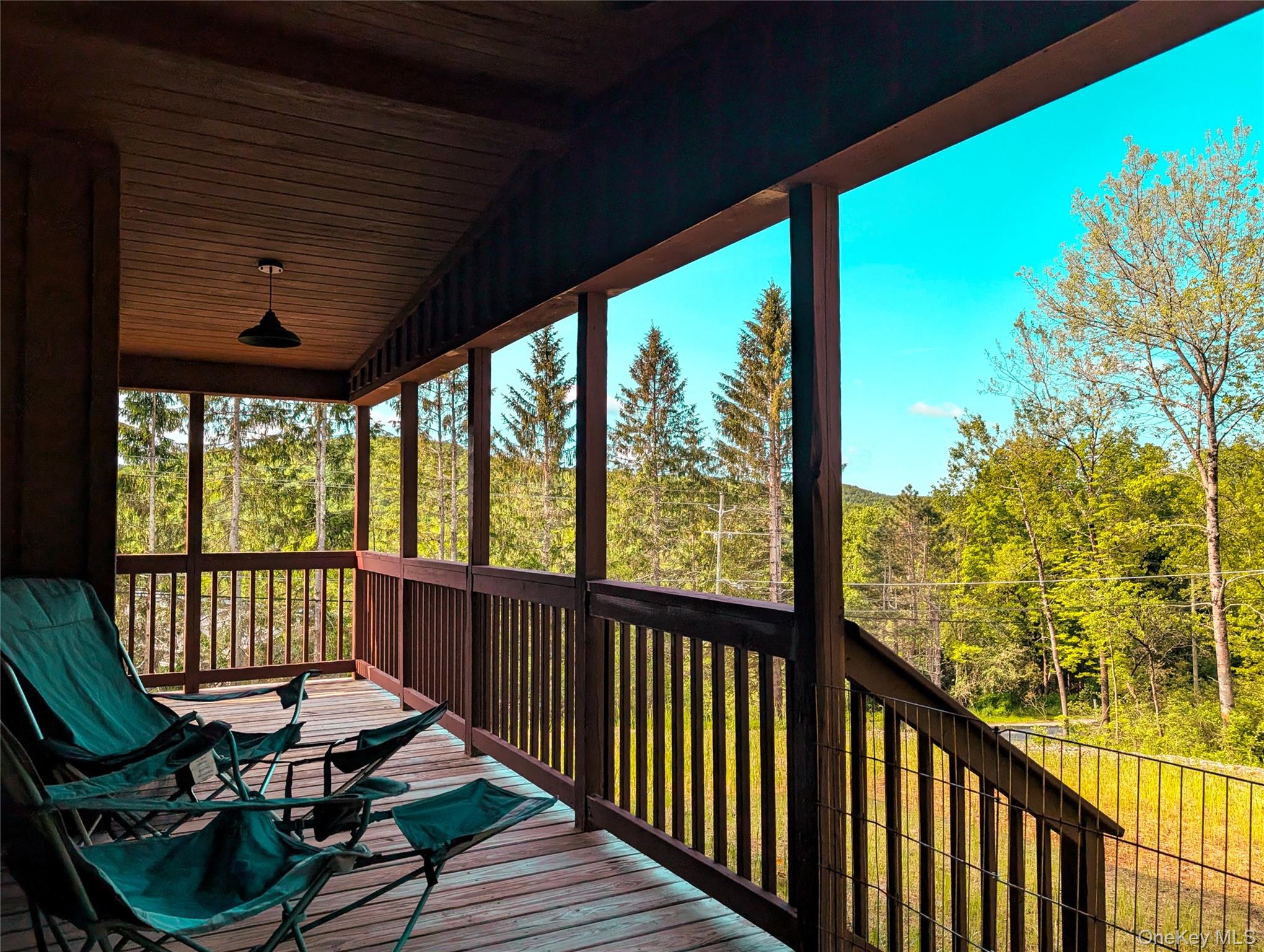 91 White Roe Lake Road Livingston Manor, NY 12758 - Photo 4 of 11