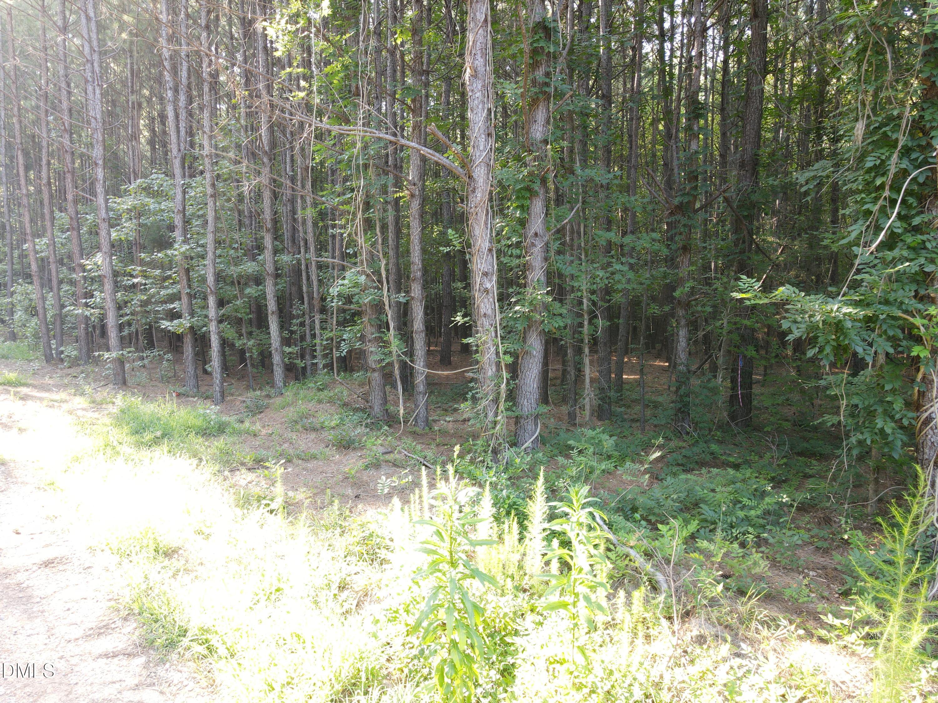 12911 Creedmoor Road Wake Forest, NC 27587 - Photo 4 of 5 a view of a garden from a patio