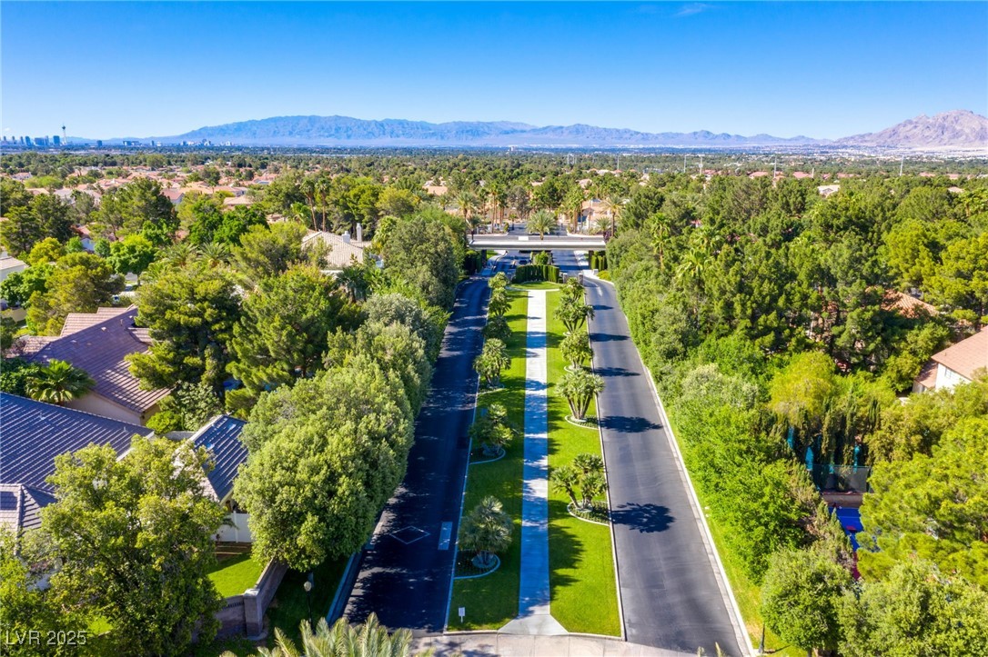 2316 Prometheus Court Henderson, NV 89074 - Photo 84 of 92 Birds eye view of property featuring a mountain view