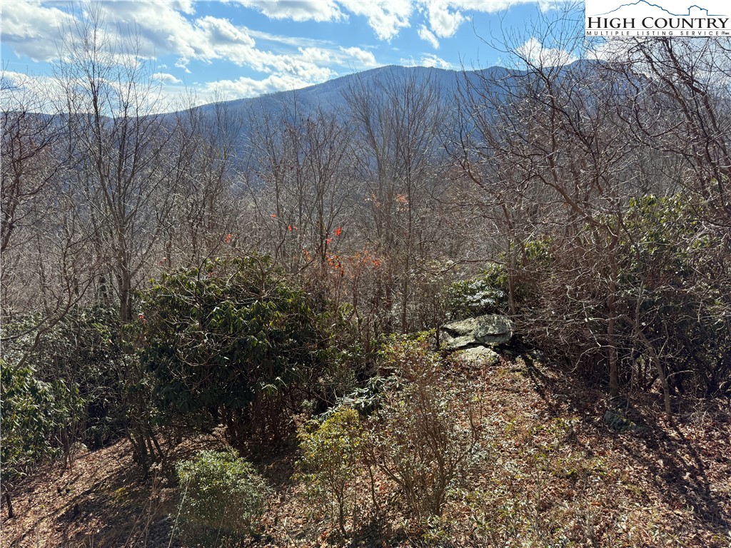 280 Chinkapin Ridge Road Seven Devils, NC 28604 - Photo 31 of 36 a view of a backyard