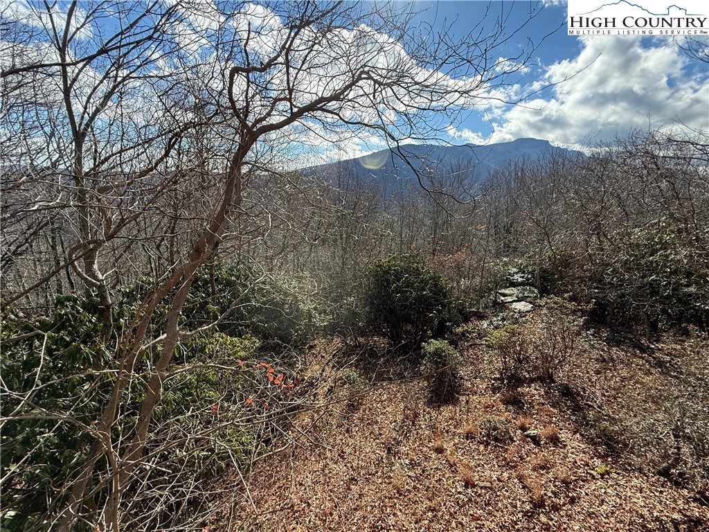 280 Chinkapin Ridge Road Seven Devils, NC 28604 - Photo 32 of 36 a view of a yard with a tree