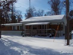 11389 North Astor Road Irons, MI 49644 - Photo 5 of 5 Additional Photo