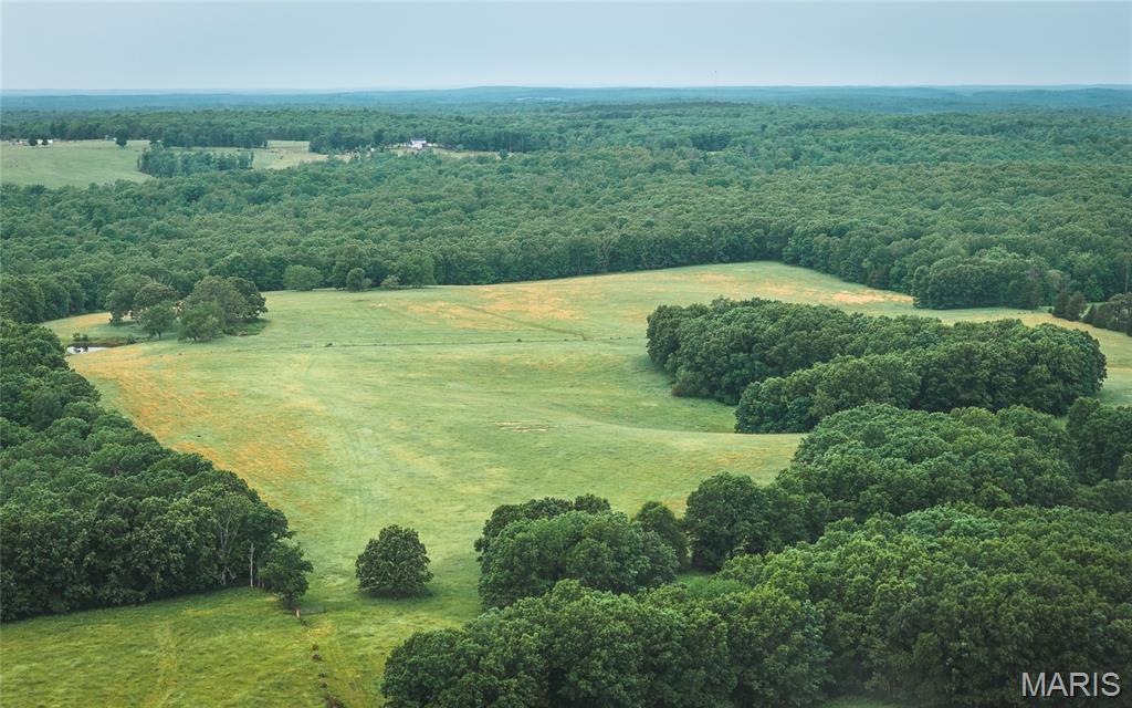 20063 Pigeon Creek Road Licking, MO 65542 - Photo 40 of 50