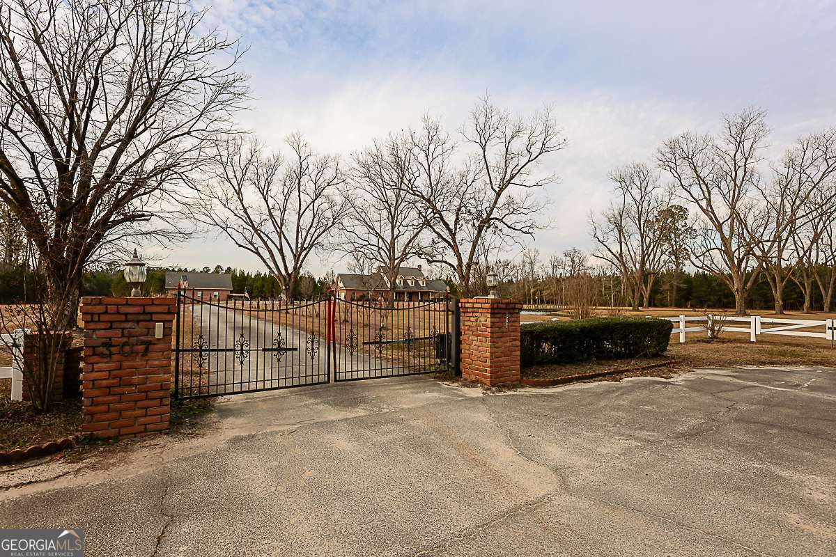 307 Chester Thomas Road Springfield, GA 31329 - Photo 3 of 53