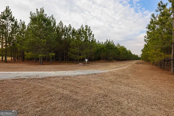 $869,900 | 307 Chester Thomas Road, Springfield, GA 31329