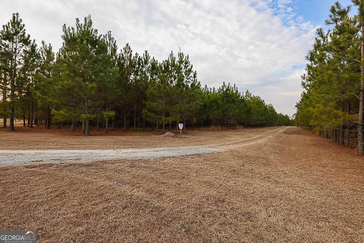 307 Chester Thomas Road Springfield, GA 31329 - Photo 48 of 53