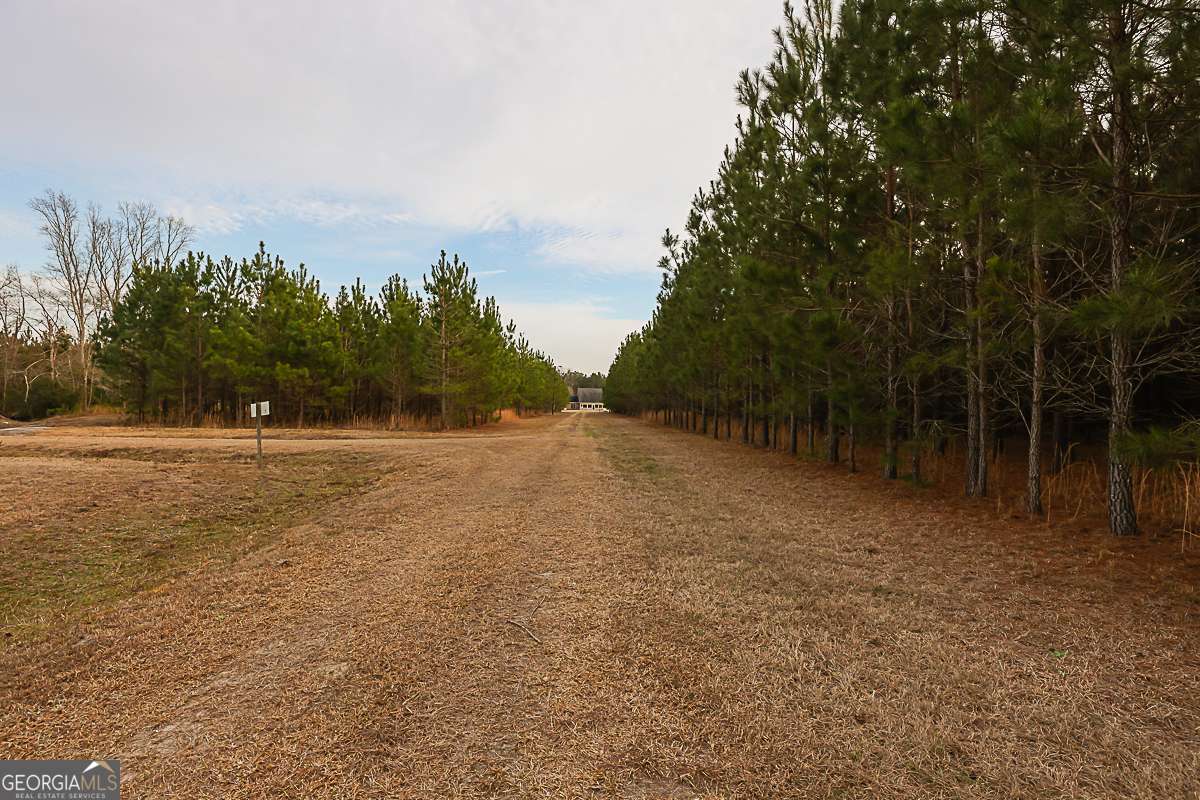 307 Chester Thomas Road Springfield, GA 31329 - Photo 49 of 53