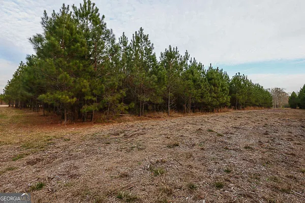 $869,900 | 307 Chester Thomas Road, Springfield, GA 31329