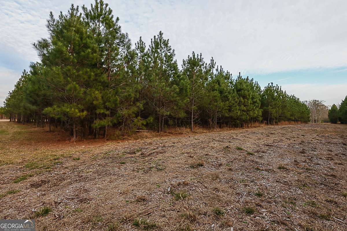 307 Chester Thomas Road Springfield, GA 31329 - Photo 50 of 53