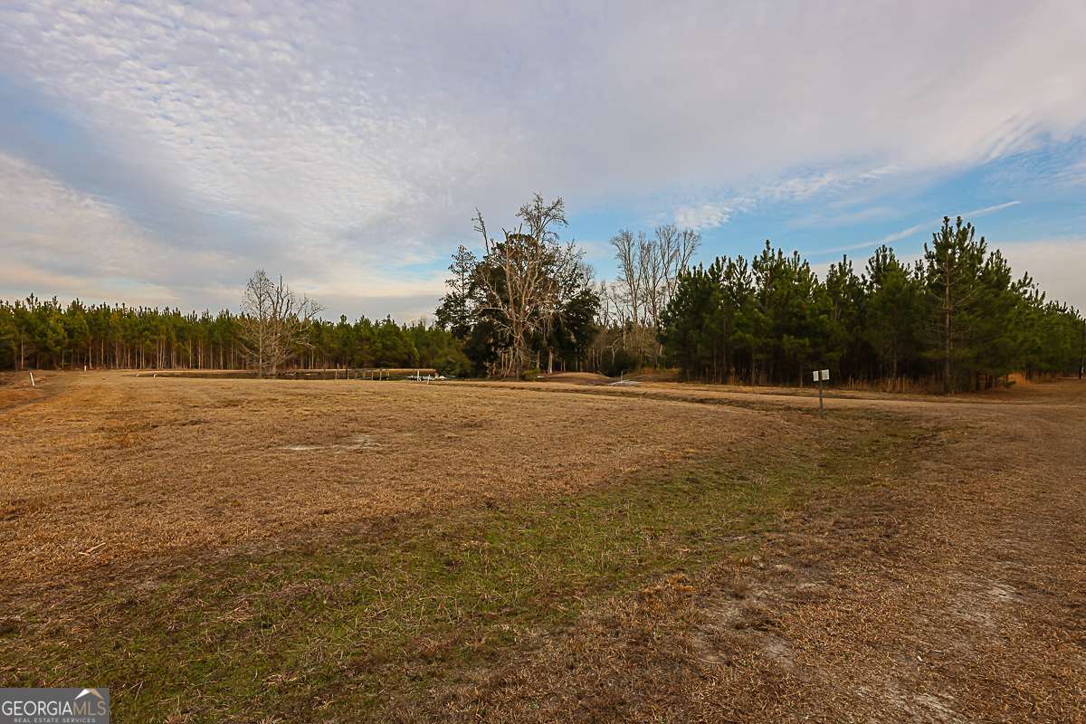 307 Chester Thomas Road Springfield, GA 31329 - Photo 52 of 53