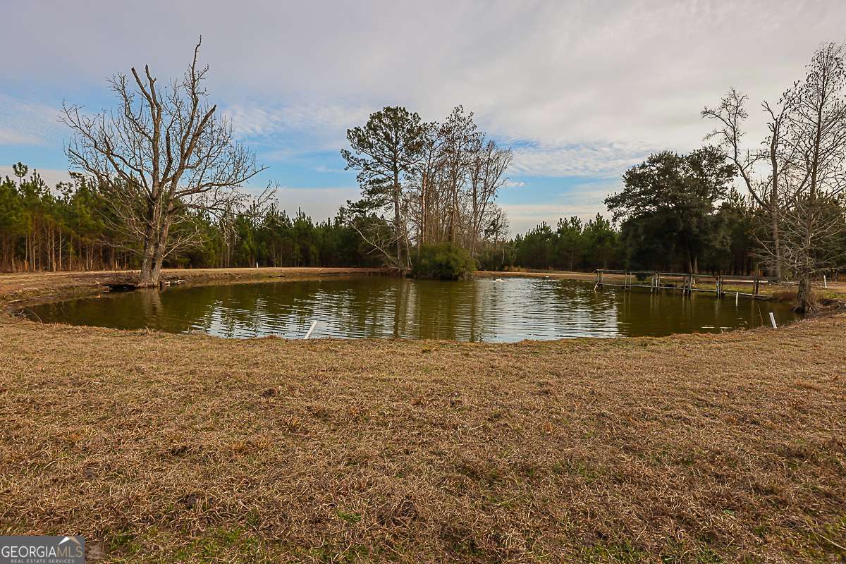 307 Chester Thomas Road Springfield, GA 31329 - Photo 53 of 53