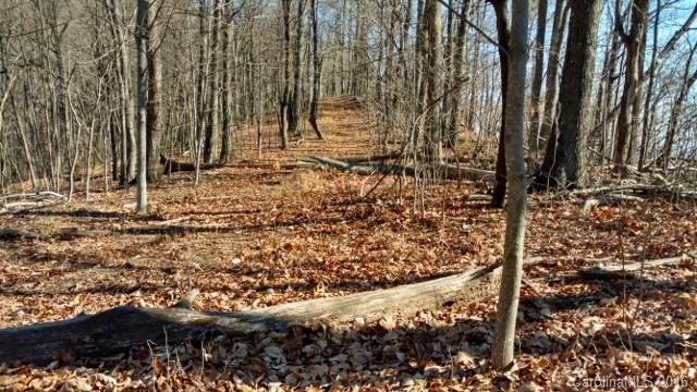 1122 Miller Mountain Road Saluda, NC 28773 - Photo 1 of 5 Gallery Image 1