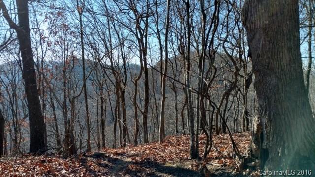 1122 Miller Mountain Road Saluda, NC 28773 - Photo 2 of 5 Gallery Image 2
