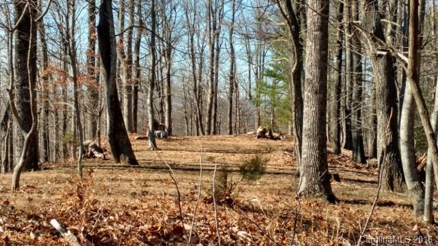 1122 Miller Mountain Road Saluda, NC 28773 - Photo 3 of 5 Gallery Image 3